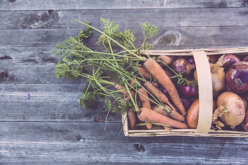 The future of agriculture: Agriculture 5.0